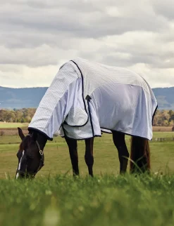 Airstream Detach-A-Neck
