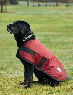 ComFiTec Classic Waterproof Dog Coat