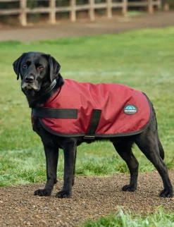 ComFiTec Classic Waterproof Dog Coat