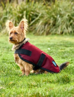 ComFiTec Classic Waterproof Dog Coat