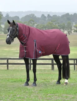 ComFiTec Essential Turnout Combo 220G