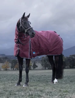 ComFiTec Essential Turnout Detach-A-Neck 220G