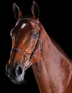 ComFiTec Fancy Stitch Bridle