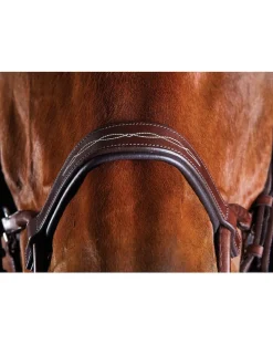ComFiTec Fancy Stitch Bridle