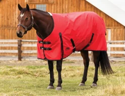 ComFiTec Original Standard Neck 220G