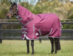 ComFiTec Plus Dynamic II Detach-A-Neck Medium