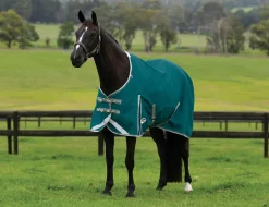 ComFiTec Plus Dynamic II Standard Neck Lite