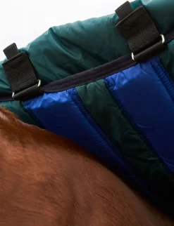 ComFiTec Plus Dynamic Turnout Detach-A-Neck 360G