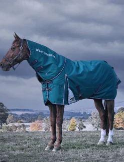 ComFiTec Plus Dynamic Turnout Detach-A-Neck 220G