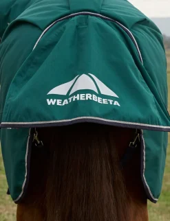 ComFiTec Plus Dynamic Turnout Detach-A-Neck 220G