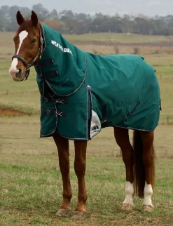ComFiTec Plus Dynamic Turnout Detach-A-Neck 220G