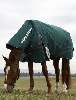 ComFiTec Plus Dynamic Turnout Detach-A-Neck 100G