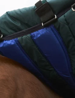 ComFiTec Plus Dynamic Turnout Detach-A-Neck 100G
