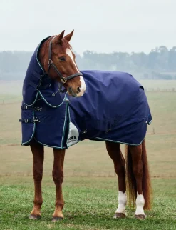 ComFiTec Plus Dynamic Turnout Detach-A-Neck 100G