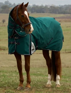 ComFiTec Plus Dynamic Turnout Detach-A-Neck 0G