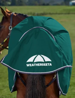 ComFiTec Plus Dynamic Turnout 220G