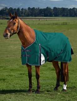 ComFiTec Plus Dynamic Turnout 220G