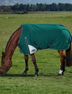 ComFiTec Plus Dynamic Turnout 220G
