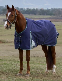 ComFiTec Plus Dynamic Turnout 220G