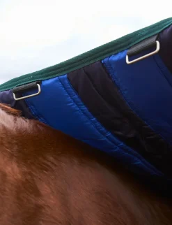ComFiTec Plus Dynamic Turnout 220G