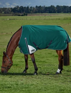 ComFiTec Plus Dynamic Turnout 0G