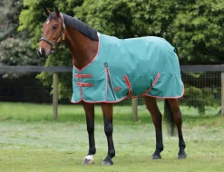 ComFiTec Prelim Standard Neck Medium