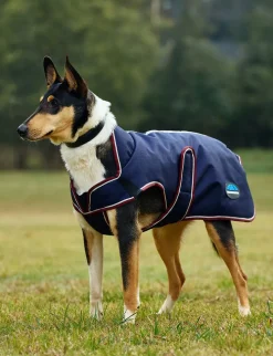 ComFiTec Premier Deluxe Waterproof Dog Coat
