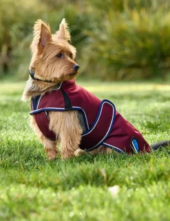 ComFiTec Premier Deluxe Waterproof Dog Coat