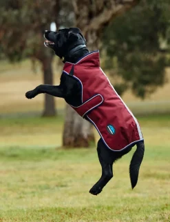 ComFiTec Premier Deluxe Waterproof Dog Coat