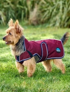 ComFiTec Premier Deluxe Waterproof Dog Coat
