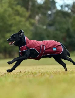 ComFiTec Premier Deluxe Waterproof Dog Coat