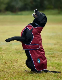 ComFiTec Premier Deluxe Waterproof Dog Coat