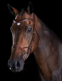ComFiTec Training Bridle