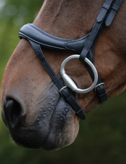 ComFiTec Vogue Anatomical Bridle