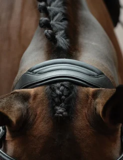 ComFiTec Vogue Anatomical Bridle