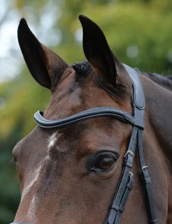ComFiTec Vogue Anatomical Bridle