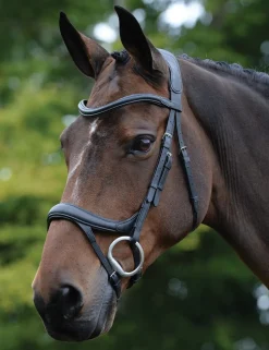 ComFiTec Vogue Anatomical Bridle