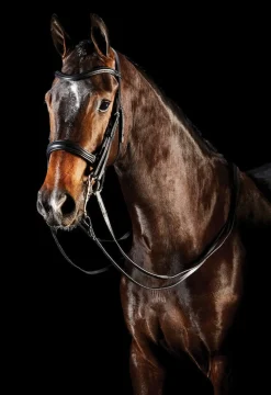 ComFiTec Weymouth Bridle