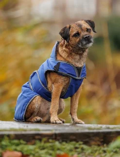 ComFiTec Windbreaker Free Deluxe Dog Coat