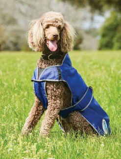 ComFiTec Windbreaker Free Deluxe Dog Coat