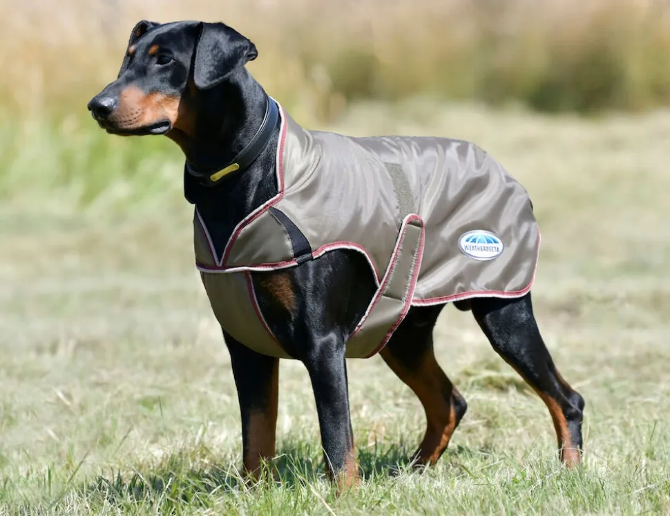 ComFiTec Windbreaker Free Deluxe Dog Coat