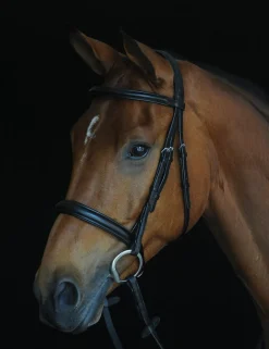 Comfort Crown Padded Raised Cavesson Bridle