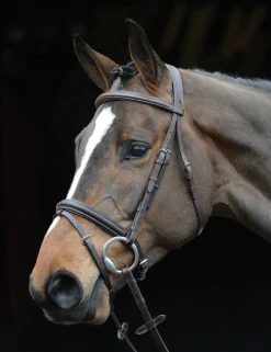 Comfort Crown Padded Raised Flash Bridle