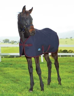 1200D Foal Standard Neck 220G