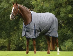 600D With Gusset Standard Neck Medium II