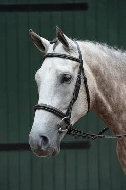 Essential Padded Raised Fancy Stitched Cavesson Bridle