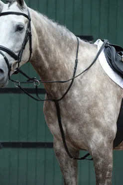 Essential Plain Flat Running Martingale