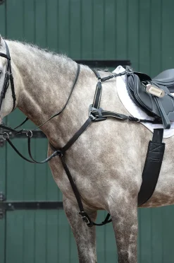 Essential 5-Point Breastplate