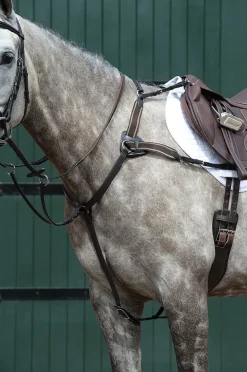 Essential 5-Point Breastplate