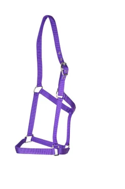 Everyday Headcollar
